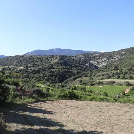 Aigues Vives - Le Patio * Montpeyroux