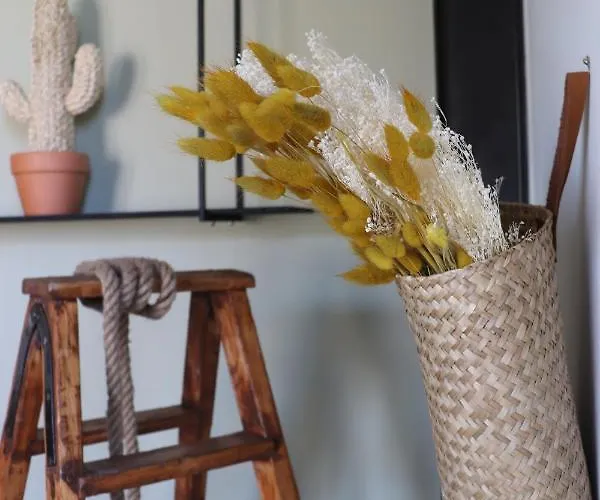 Aigues Vives - Le Patio