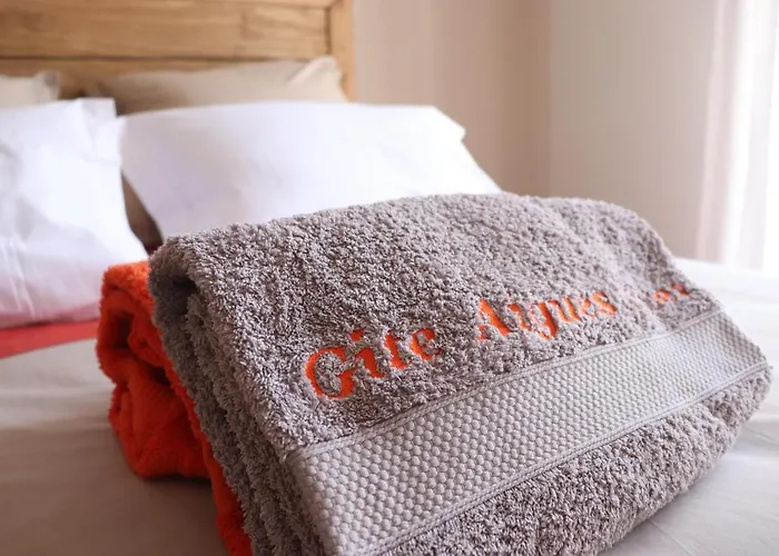 Aigues Vives - Le Patio * Montpeyroux (Herault)