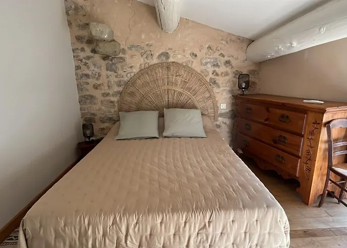 Aigues Vives - Le Patio Casa vacanze Montpeyroux (Herault)