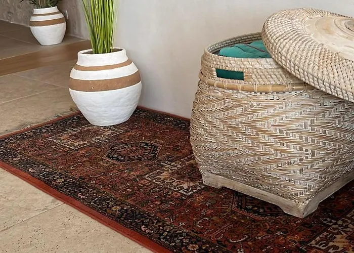 Casa vacanze Aigues Vives - Le Patio Montpeyroux (Herault)